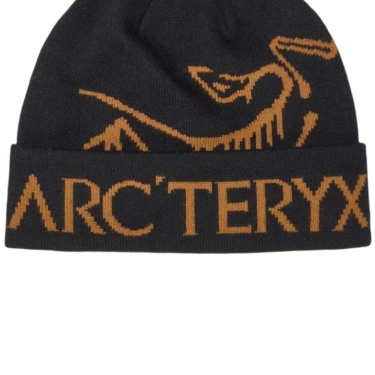Шапка Arc'teryx Переработанный полиэстер Шапки-бини Унисекс Разноцветные - изображение 2