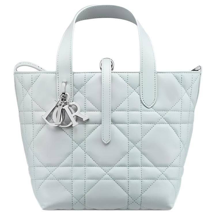 Сумка DIOR Toujours Tote - изображение 1