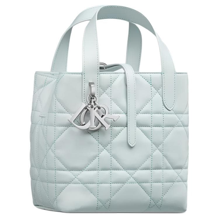 Сумка DIOR Toujours Tote - изображение 2