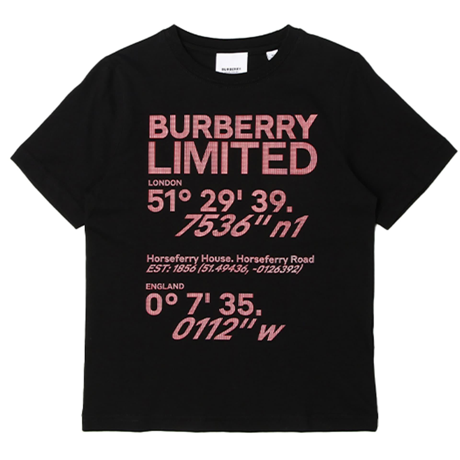 Футболка Burberry LogoT - изображение 1