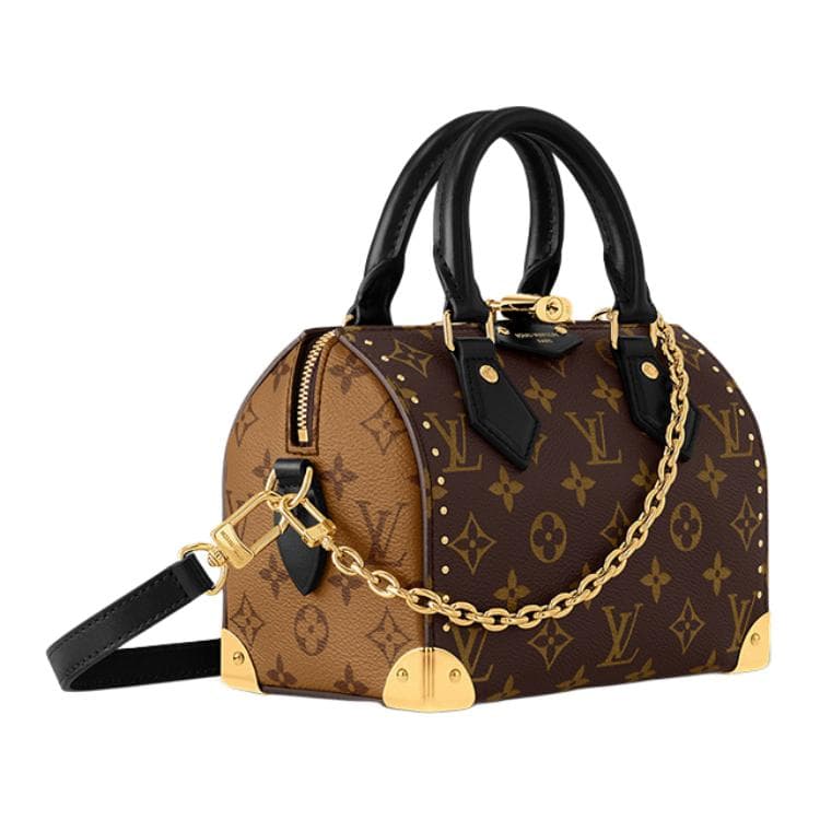 Сумка Louis Vuitton SpeedyTrunk 20 - изображение 2