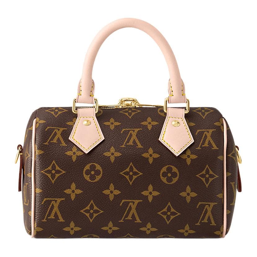 Сумка Louis Vuitton Speedy 20 - изображение 3