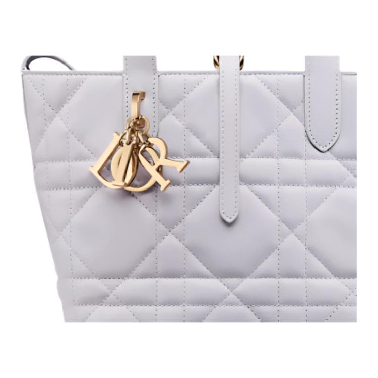 Сумка DIOR Toujours Tote - изображение 6