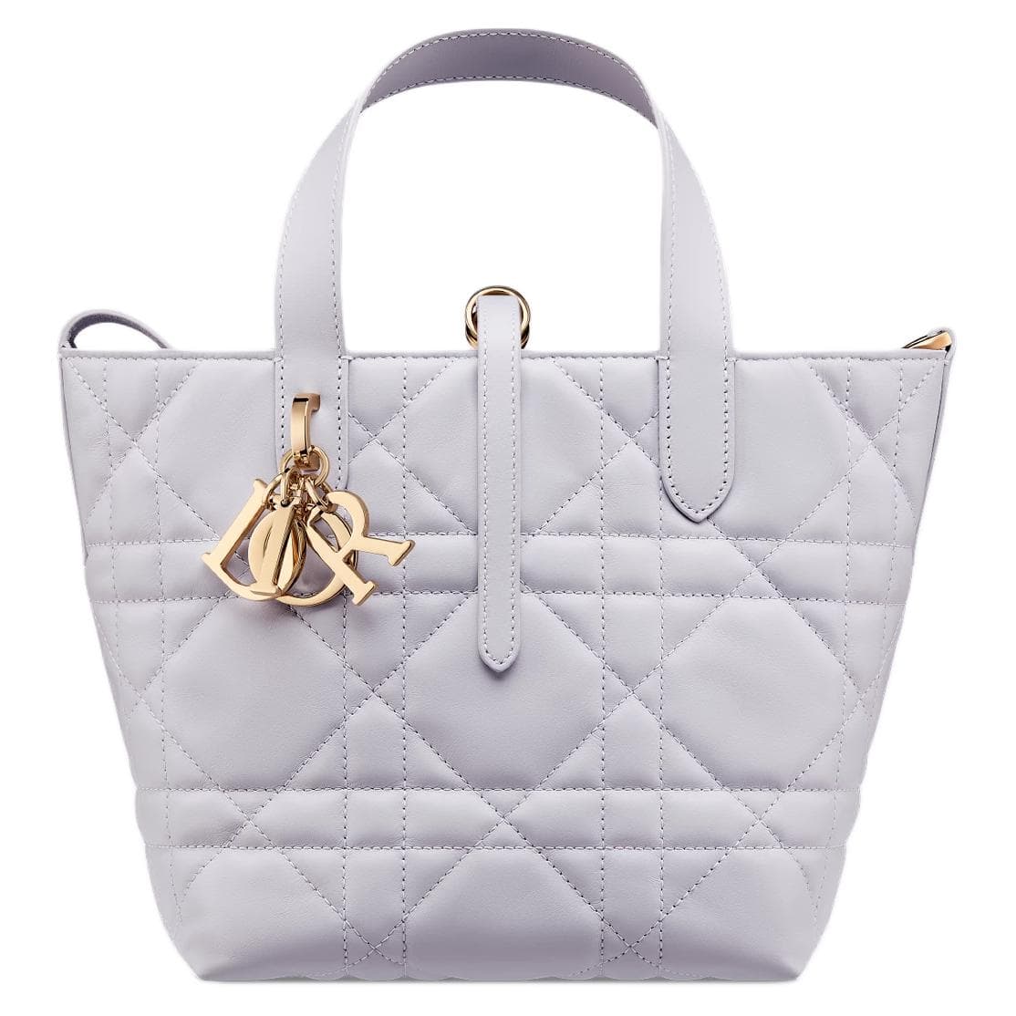 Сумка DIOR Toujours Tote - изображение 1
