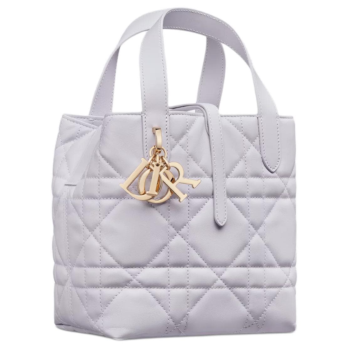 Сумка DIOR Toujours Tote - изображение 2