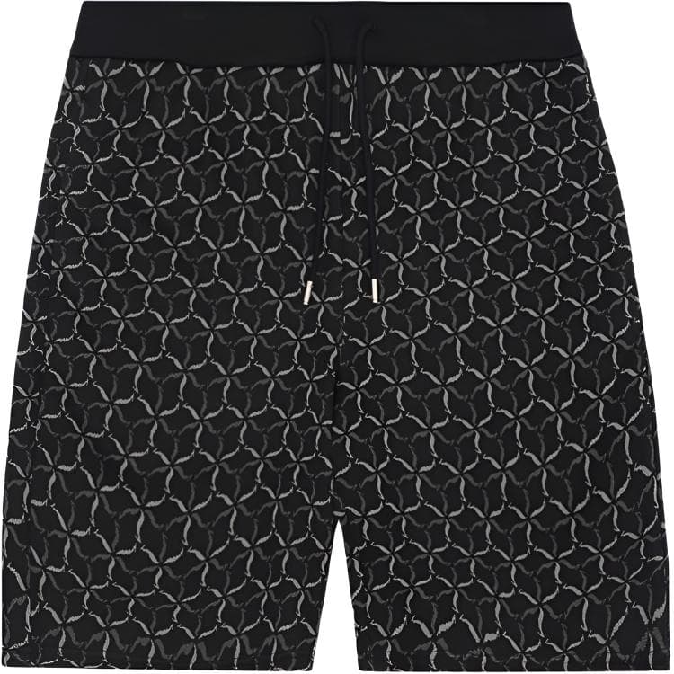 Шорты LI-NING 1990 - изображение 1