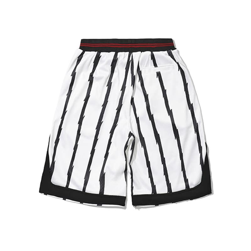 Баскетбольные шорты Mitchell Ness x .PAC - изображение 2