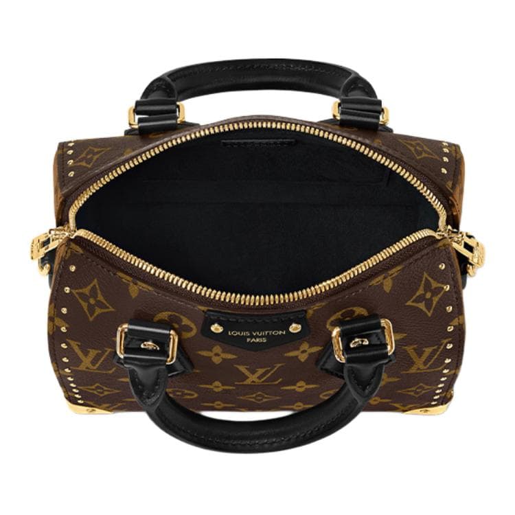 Сумка Louis Vuitton SpeedyTrunk 20 - изображение 5