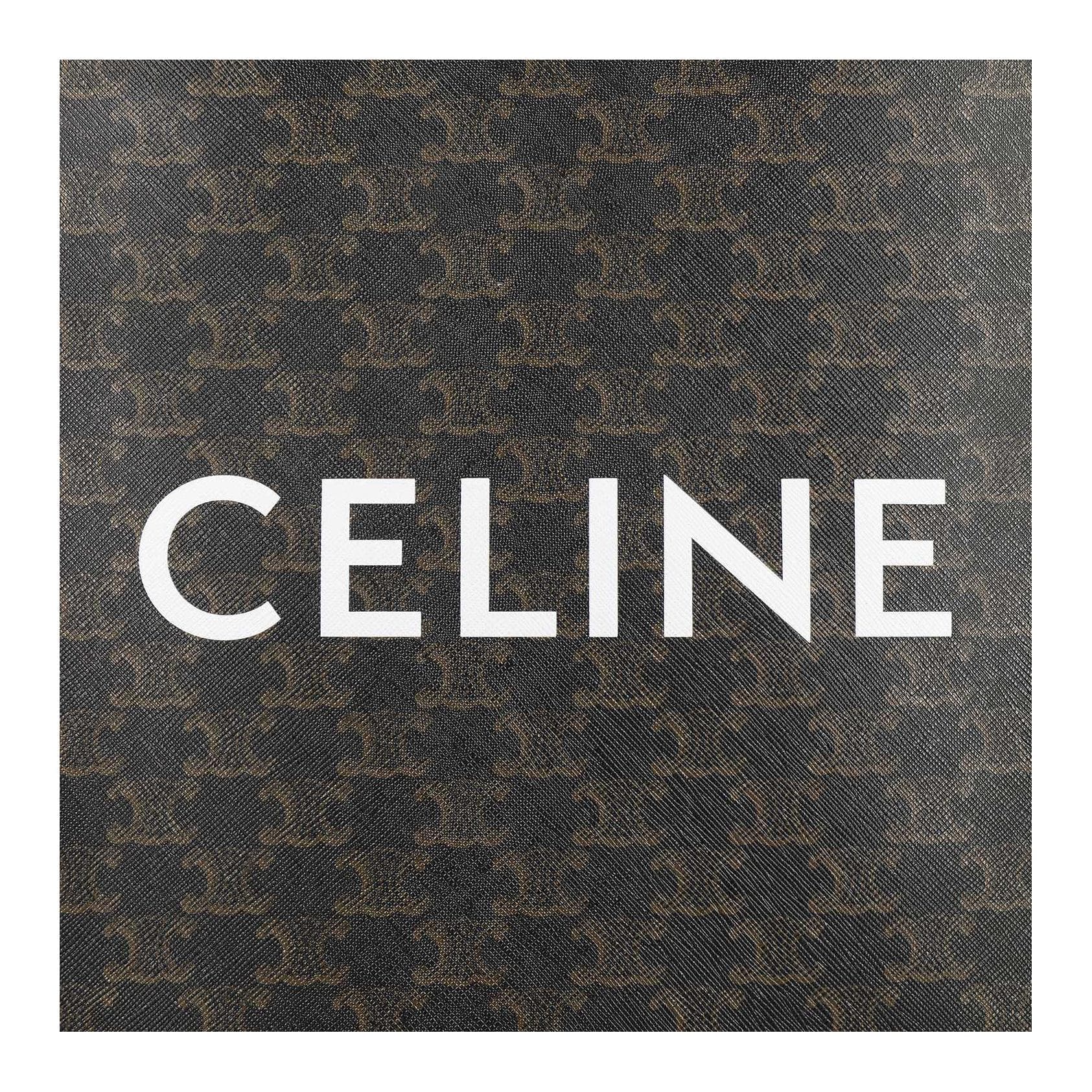 Сумка CELINE Cabas Triomphe Tote Small Brown - изображение 5