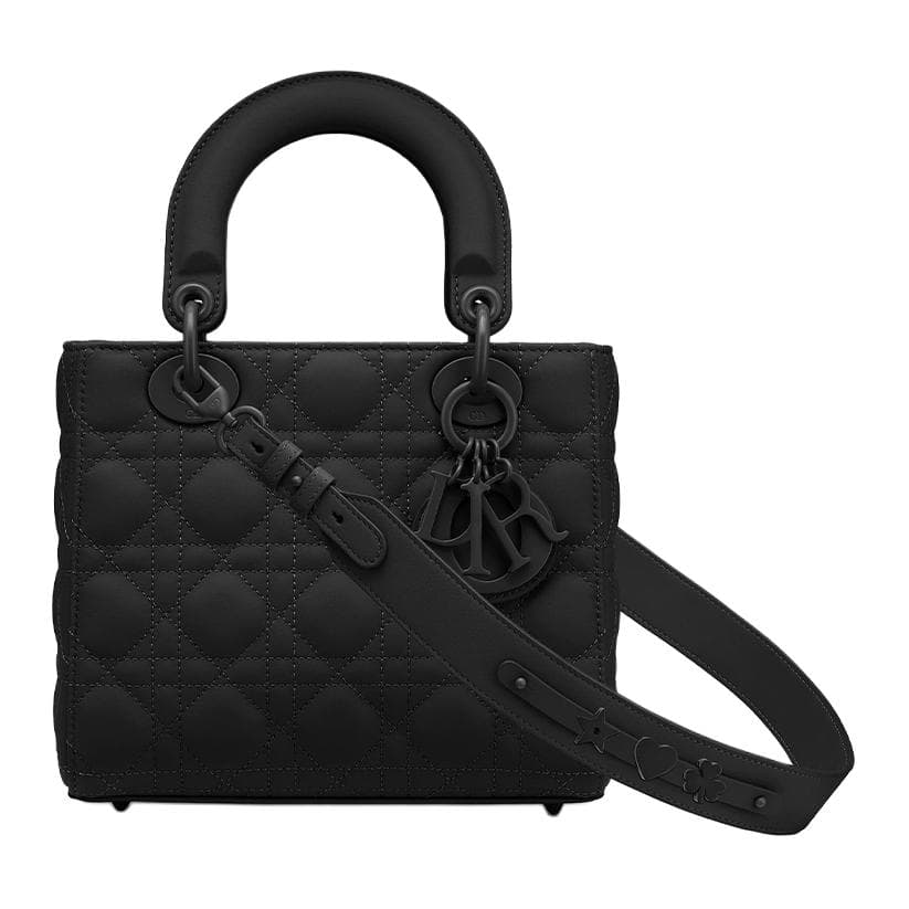 Сумка DIOR Lady DiorMy ABCDior - изображение 1