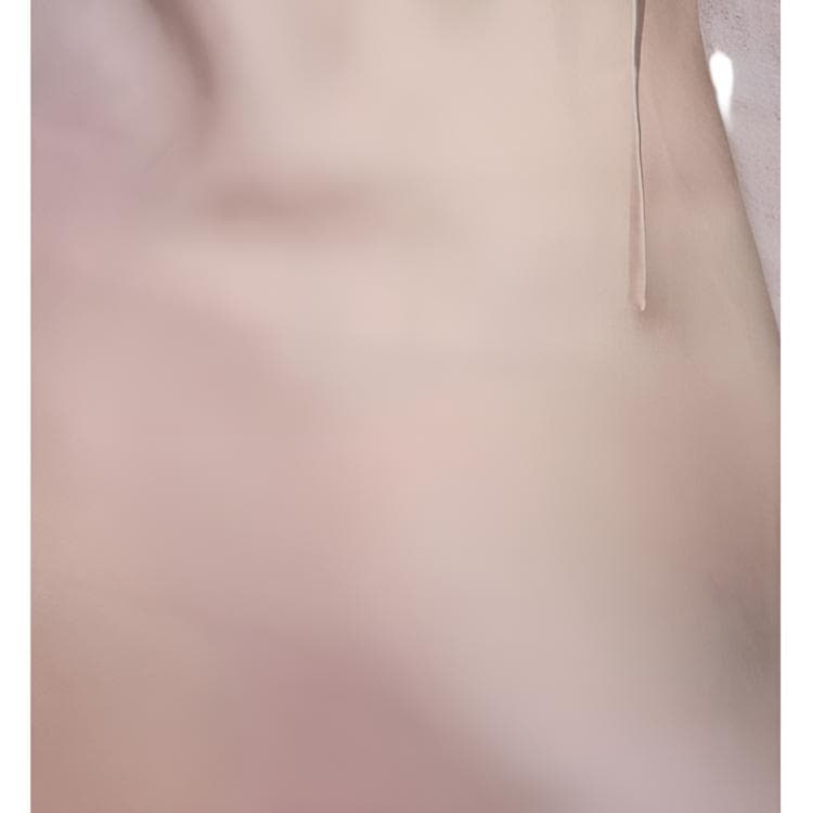 Acne Studios SS25 Платье-комбинация Унисекс Розовый - изображение 3