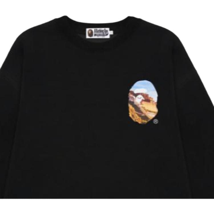 Худи BAPE SS23 - изображение 4