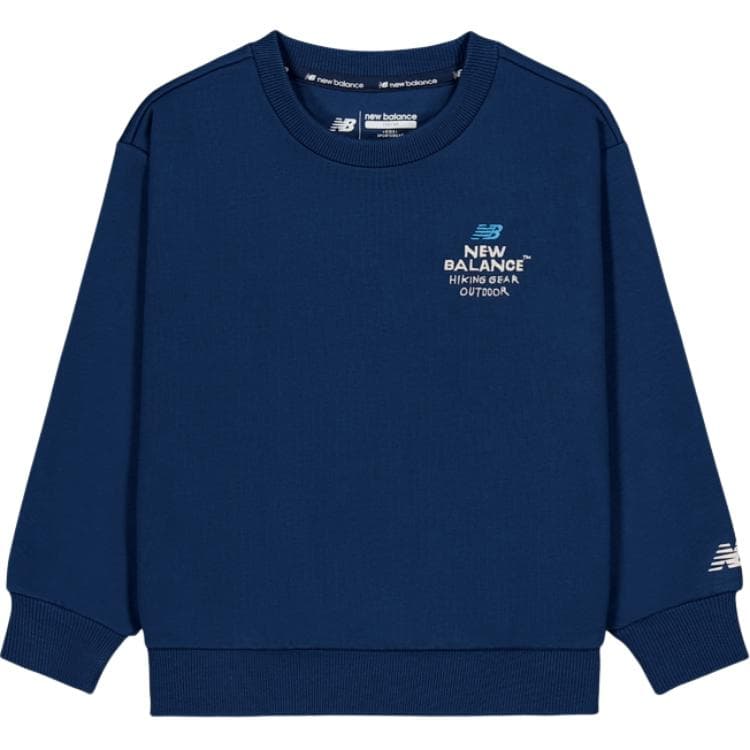 New Balance Толстовка INSPIRE THE DREAM Детское - изображение 1