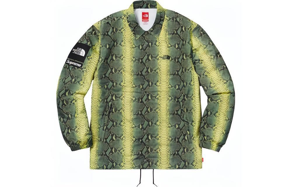 Куртка Supreme x The North Face Snake Print Jacket Green - изображение 2