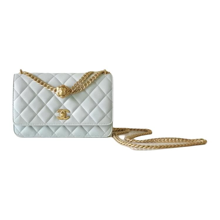 Сумка через плечо CHANEL Classic Flap CF 23S - изображение 1