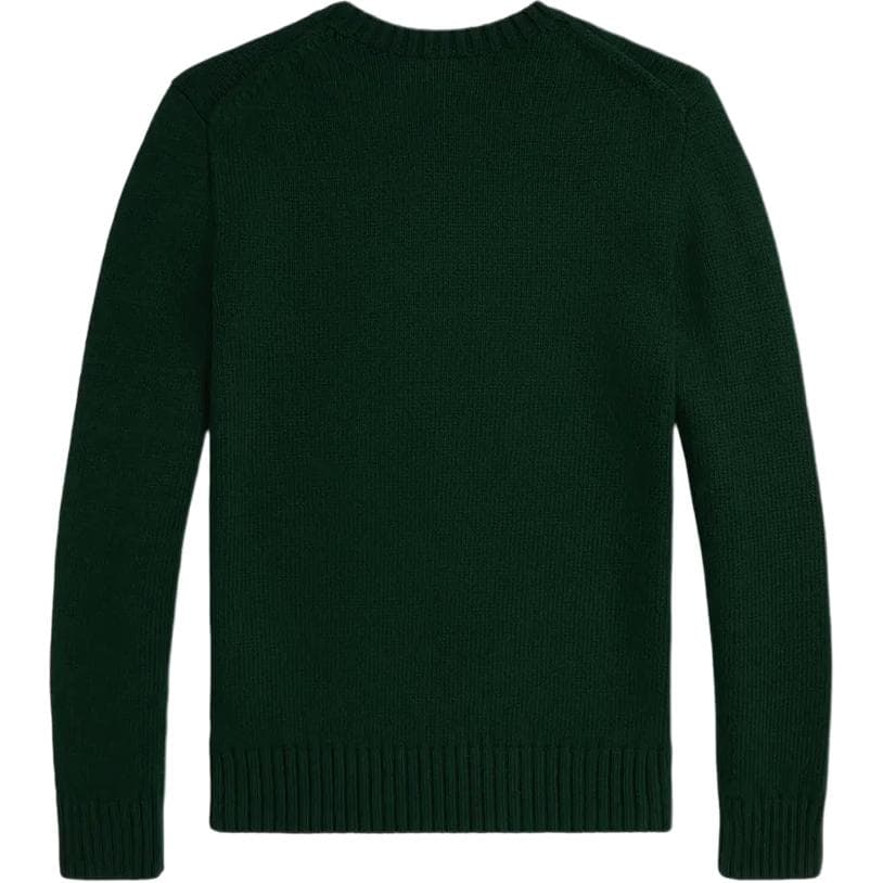 Polo Ralph Lauren Трикотаж Polo Bear FW25 Стандартный размер Зелёный Подростки - изображение 2