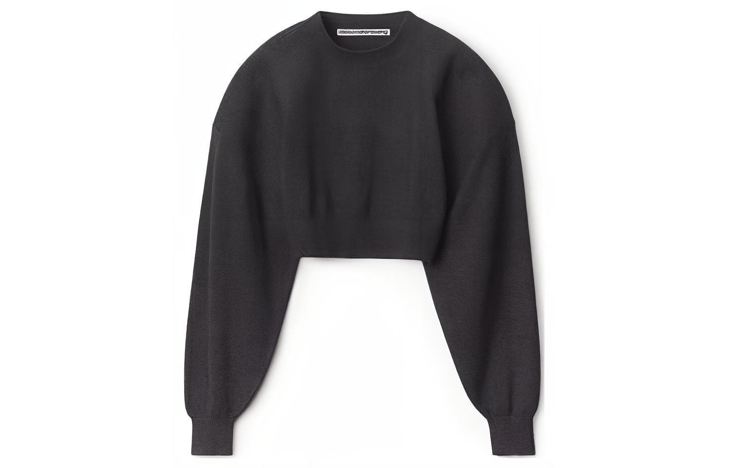 alexander wang FW22 - изображение 1