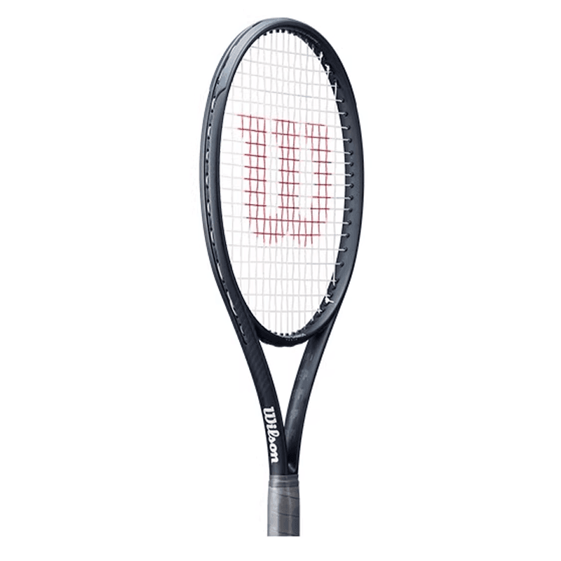 Wilson 2 - изображение 2