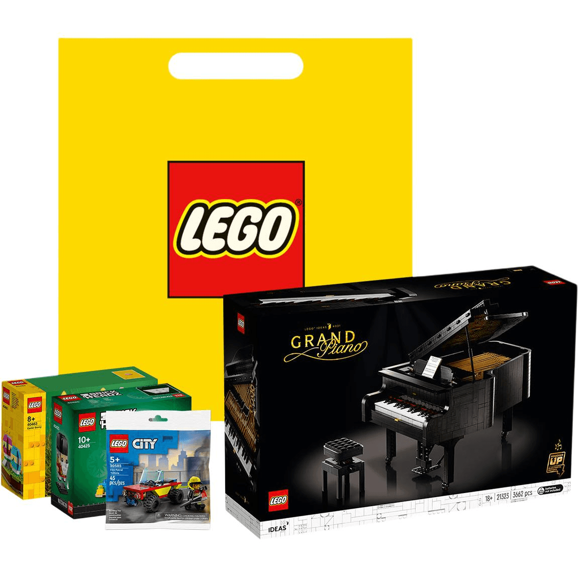Конструктор LEGO Ideas 21323 - изображение 7
