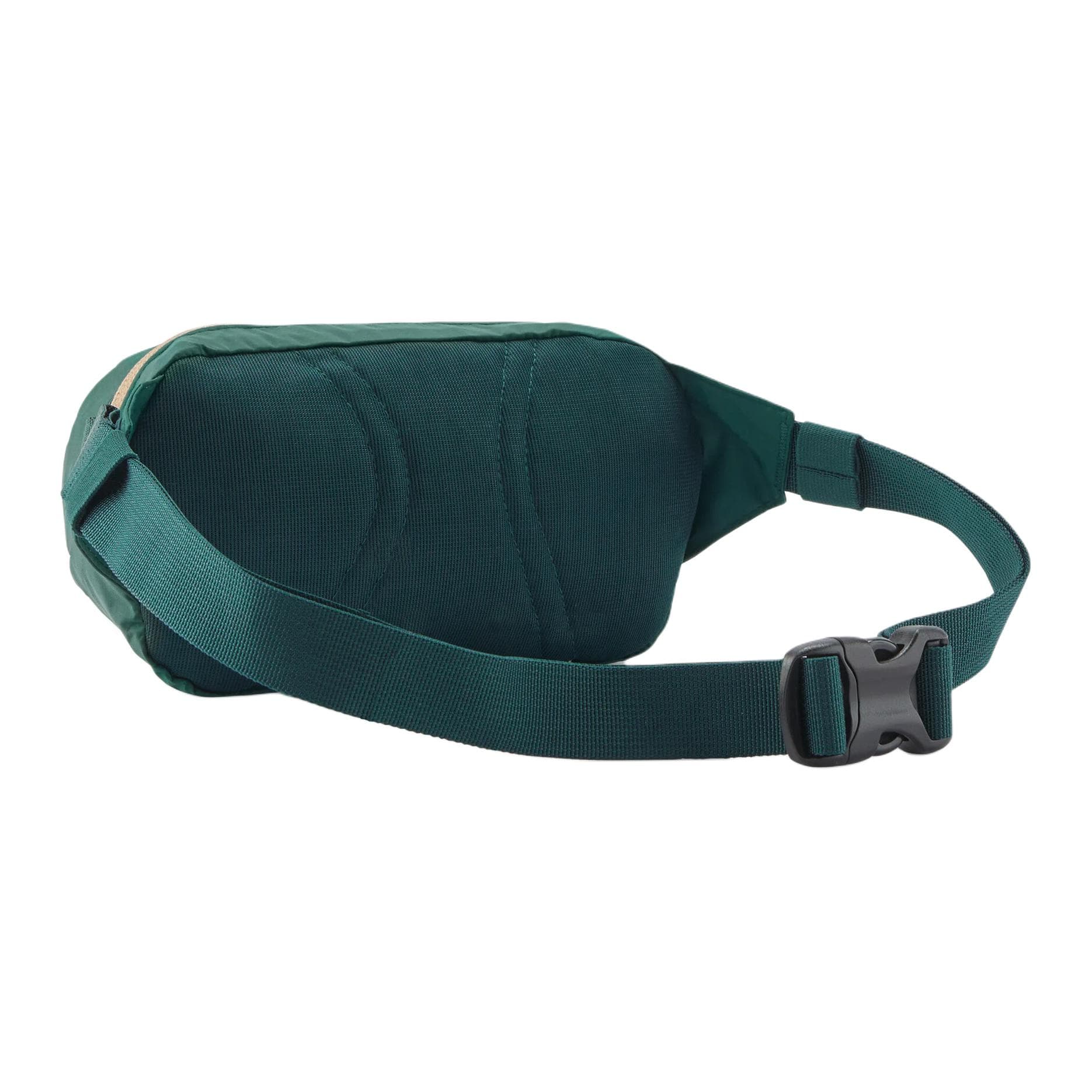 Patagonia Terravia Нейлон Поясные сумки Мини-версия Унисекс Зелёный - изображение 2