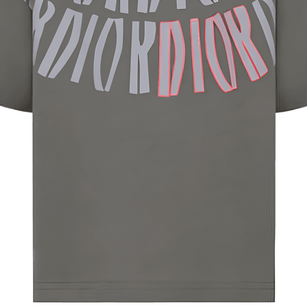 Футболка DIOR FW22 LogoT - изображение 4