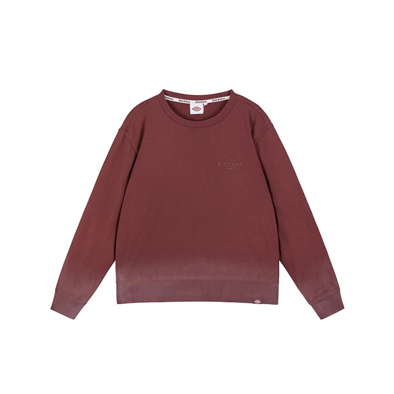 Худи Dickies sLOGODK0A885N - изображение 1