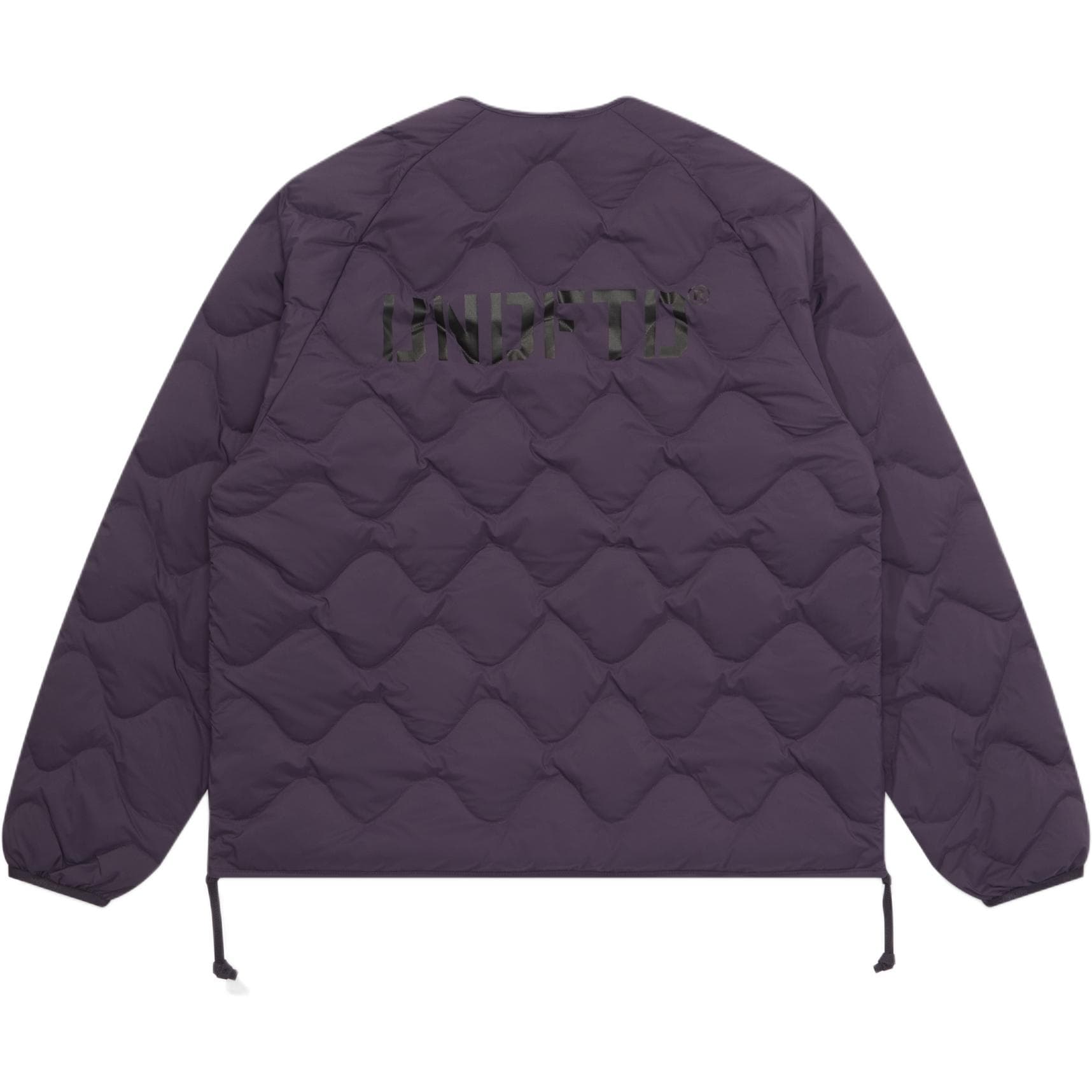 Зимняя куртка UNDEFEATED FW25 Пуховик Унисекс - изображение 2
