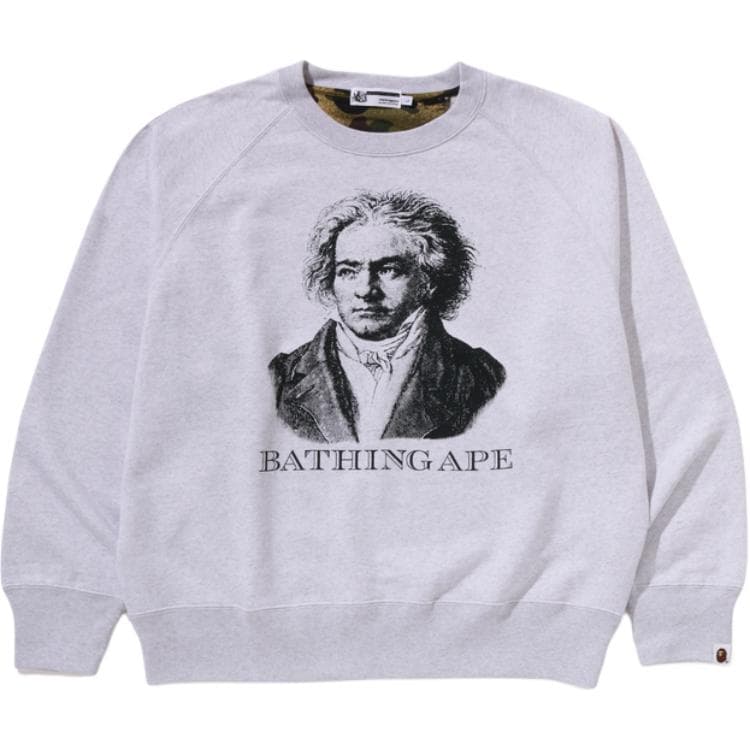 Худи A BATHING APE FW25 Толстовка Мужское - изображение 1