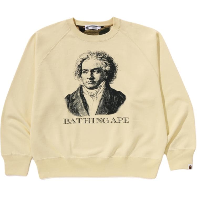 Худи A BATHING APE FW25 Толстовка Мужское - изображение 3