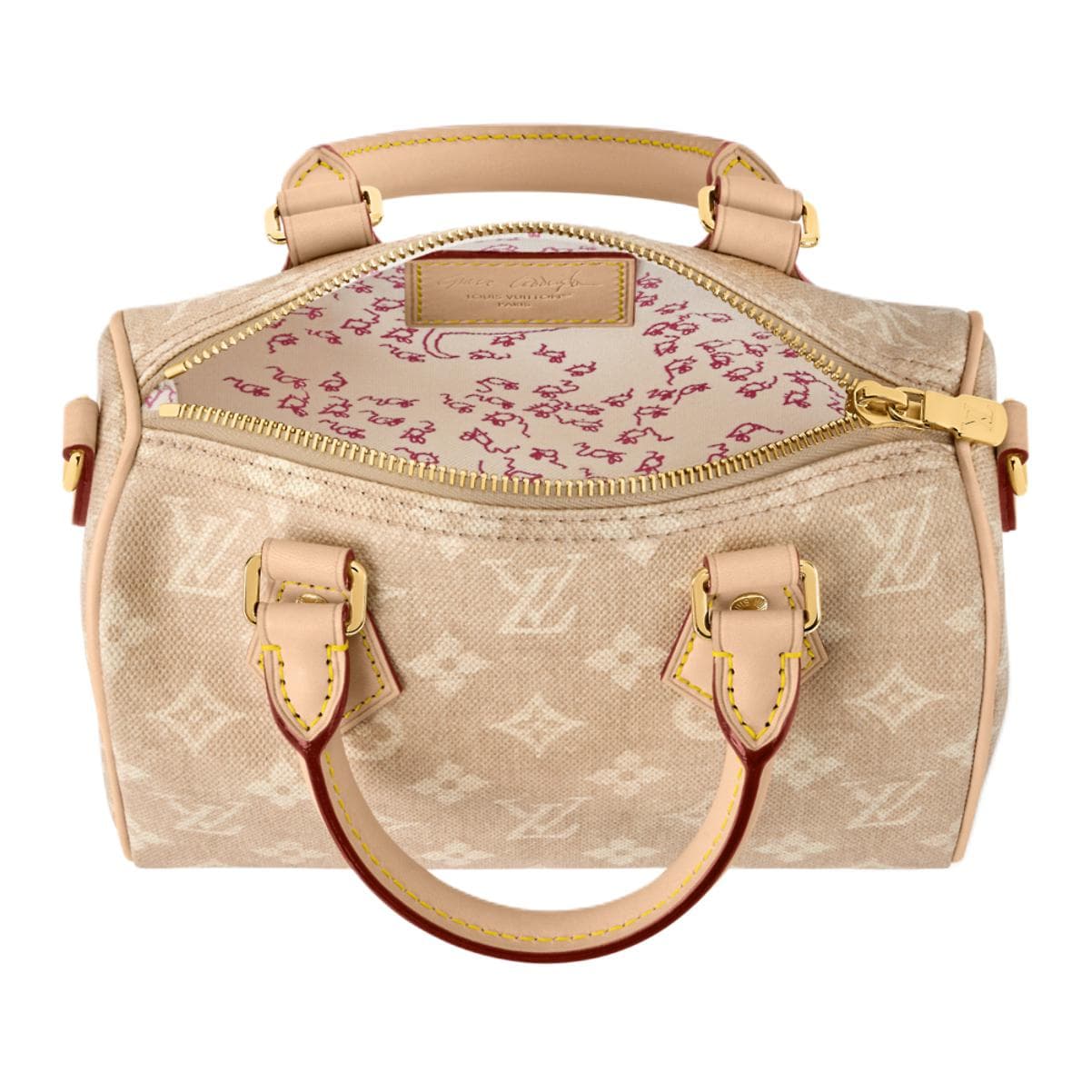 Сумка LOUIS VUITTON x Grace Coddington SpeedyCatogram 20 Meowgram - изображение 4