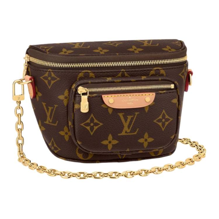 Поясная сумка LOUIS VUITTON Bumbag - изображение 2