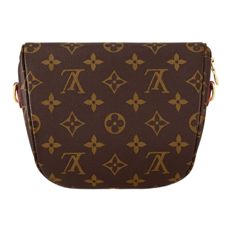 Поясная сумка LOUIS VUITTON Bumbag - изображение 4