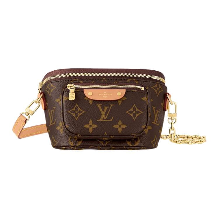 Поясная сумка LOUIS VUITTON Bumbag - изображение 1