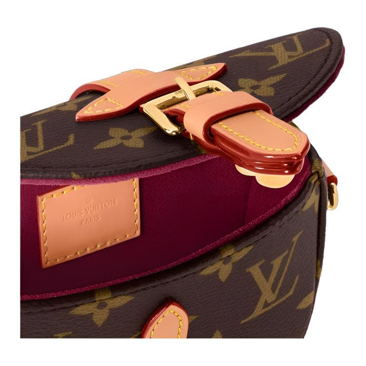 Сумка через плечо Louis Vuitton Sologne Mini Brown - изображение 5