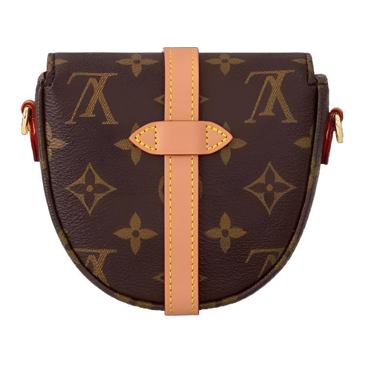 Сумка через плечо Louis Vuitton Sologne Mini Brown - изображение 3