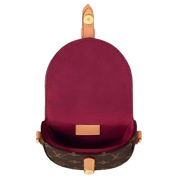Сумка через плечо Louis Vuitton Sologne Mini Brown - изображение 4