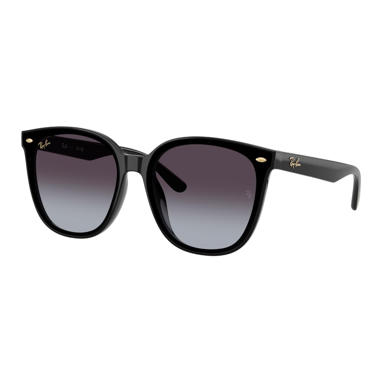 Солнцезащитные очки RayBan Окуляры OVAL SUNGLASSES Унисекс Черные - изображение 1