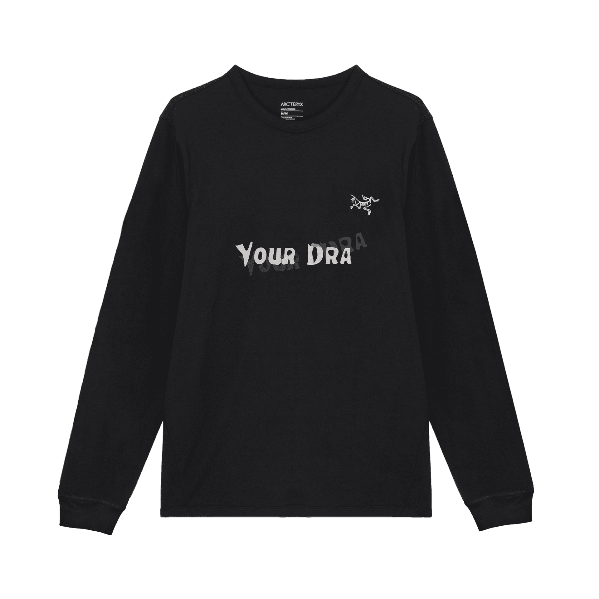 Футболка Arcteryx LogoT