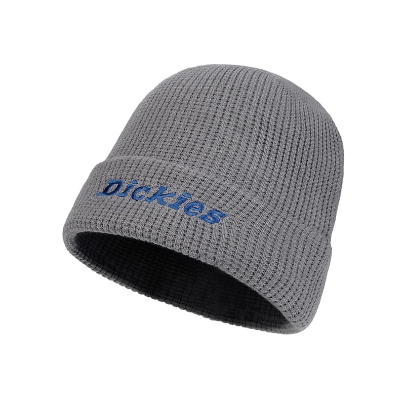Шапка Dickies Шапка из полиэстерового волокна Унисекс - изображение 2