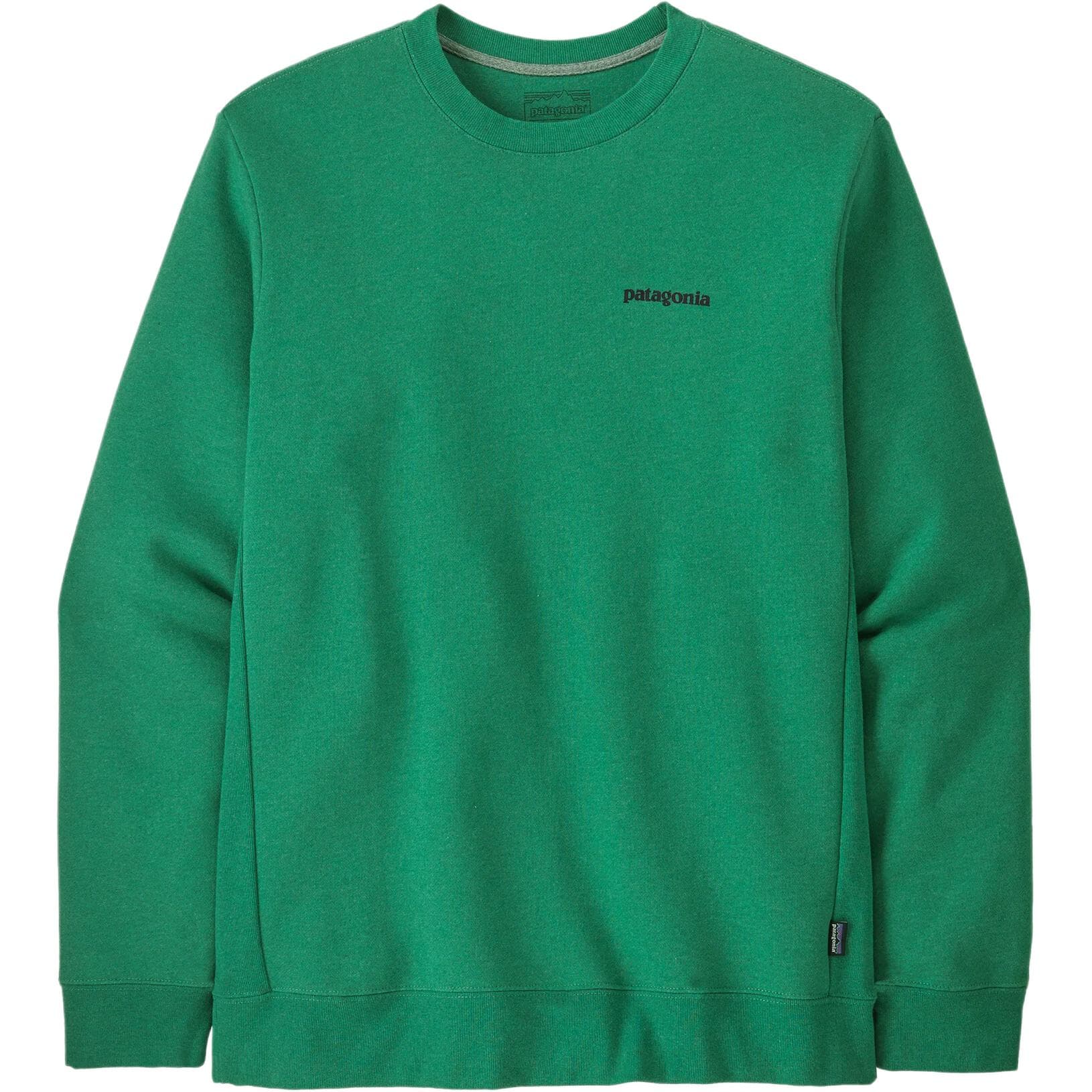 Худи patagonia Logo - изображение 1