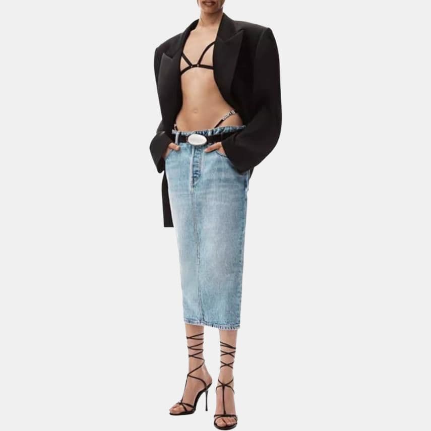 alexander wang FW23 - изображение 2