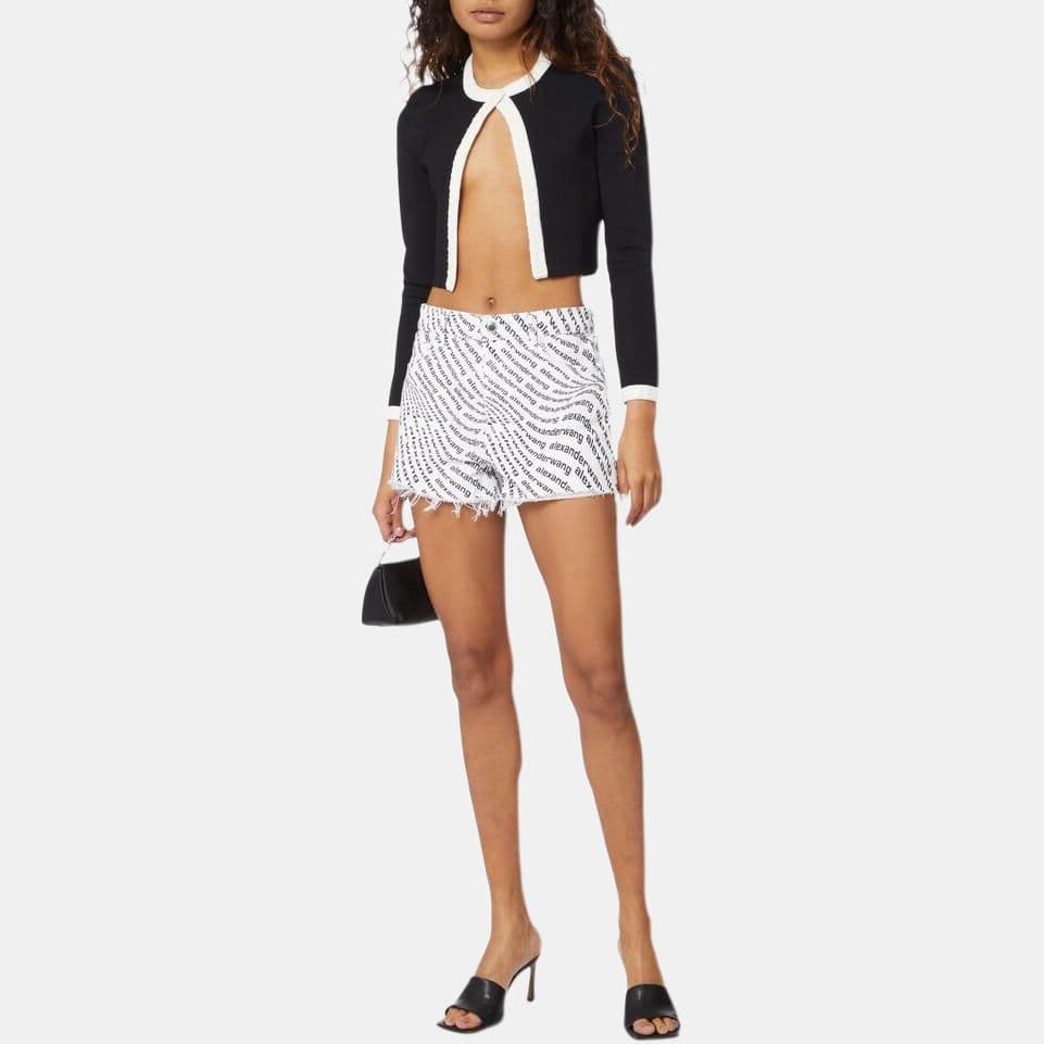 alexander wang SS22 Logo - изображение 2