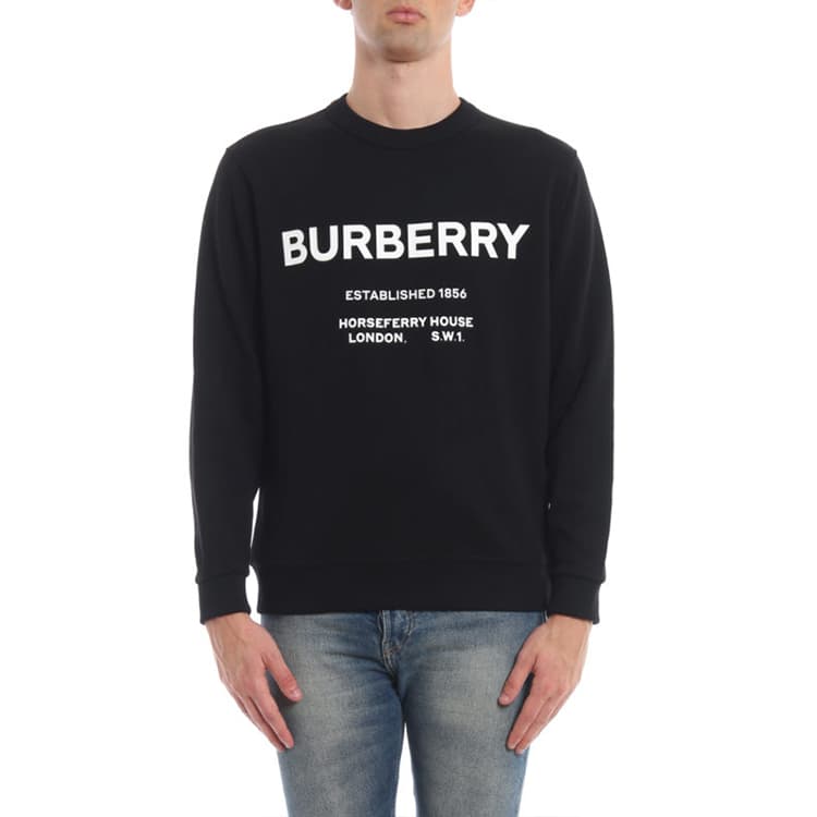 Худи Burberry Logo - изображение 4