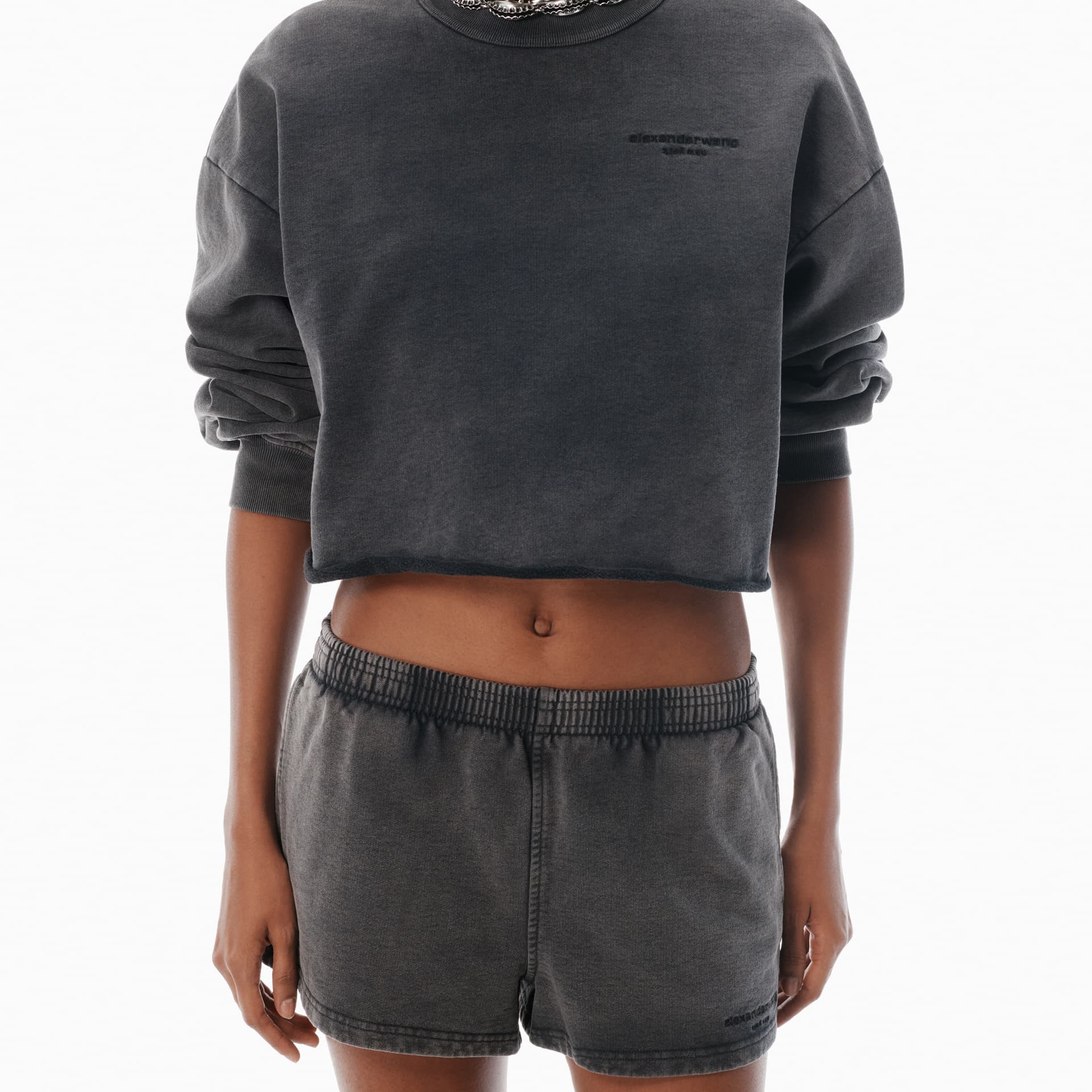 Шорты Alexander Wang FW25 Повседневные шорты Женские - изображение 2