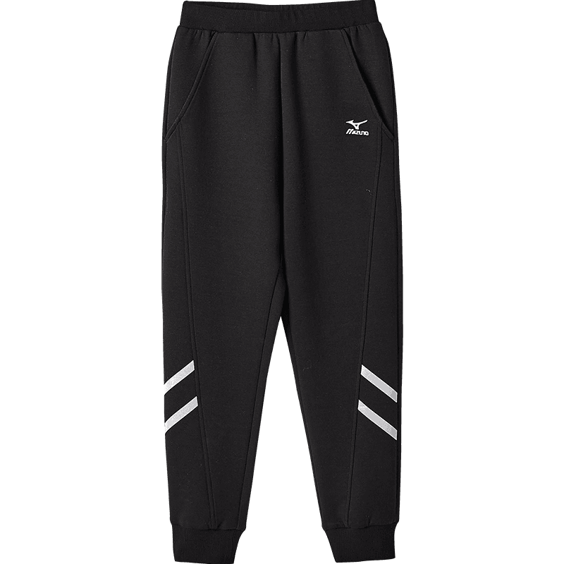 Mizuno Logo - изображение 1