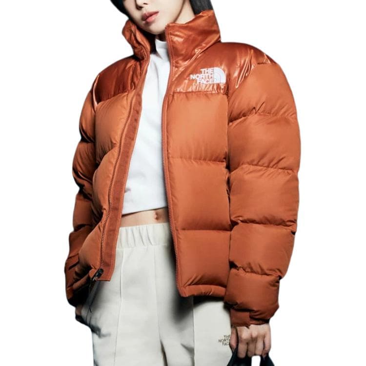 Зимняя куртка THE NORTH FACE - изображение 4