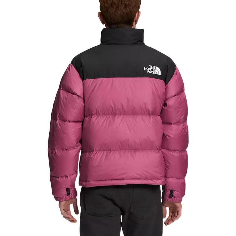 Зимняя куртка The North Face 1996 Retro Nuptse Jacket - изображение 3