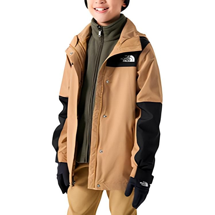 THE NORTH FACE Logo - изображение 3