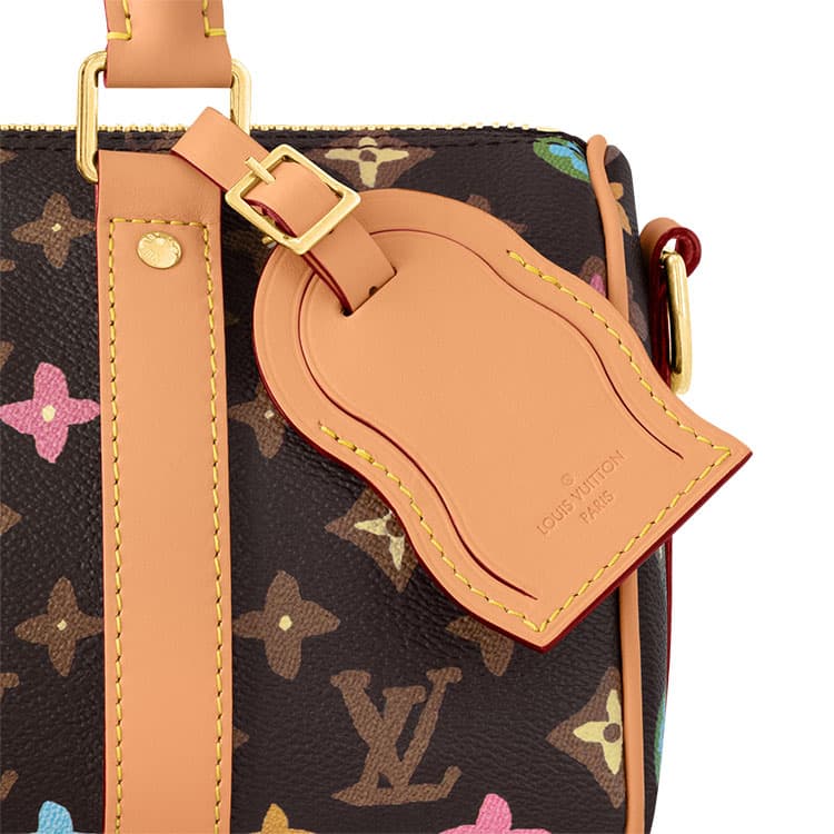 Сумка LOUIS VUITTON x Tyler keepall 25 - изображение 5