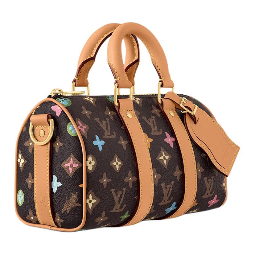 Сумка LOUIS VUITTON x Tyler keepall 25 - изображение 2